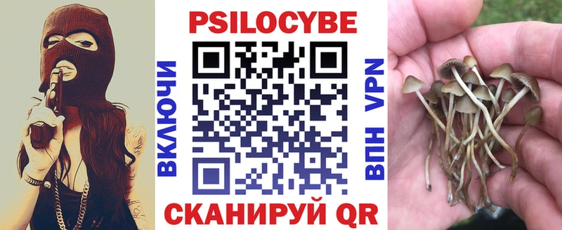 darknet Telegram  купить наркоту  Кубинка  Галлюциногенные грибы Magic Shrooms 